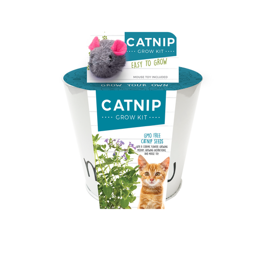 Catnip & Cat Grass Growing Kits