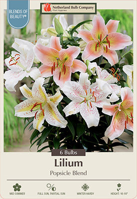 asiatic lily zone Oriental Lily Popsicle Mix