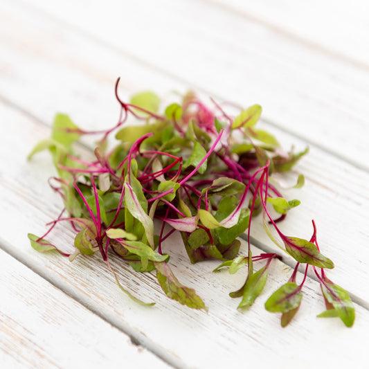 HERITAGE Beet - Bull's Blood Greens & Baby Roots Seeds