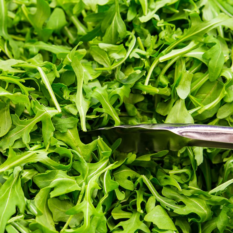 Arugula Seeds