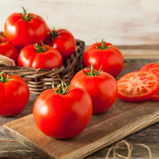 Tomato Giant Red Beefsteak Seeds