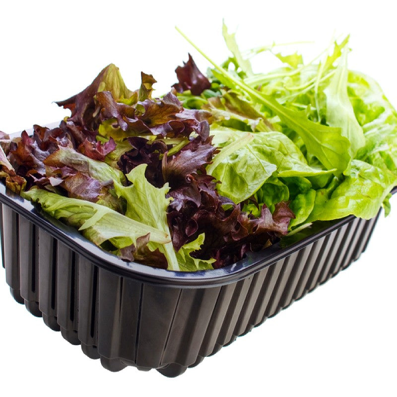 ORGANIC Lettuce Bistro Blend Seeds