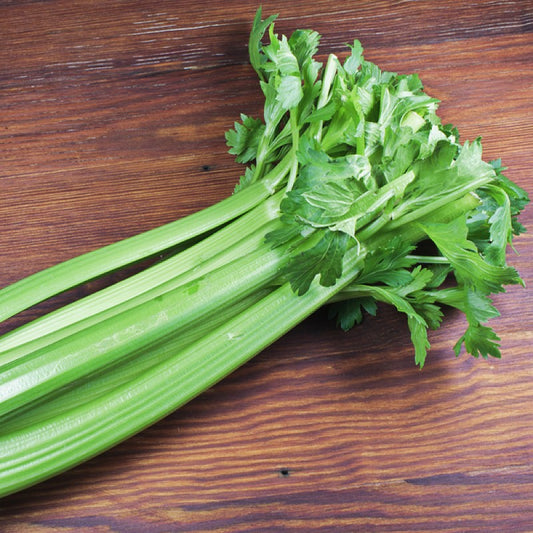 ORGANIC Celery - Tall Utah Seeds
