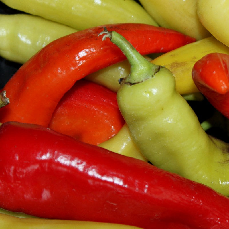 Pepper Seeds 25 Cubanelle Sweet - Seeds & Bulbs Pepper Seeds 25 Cubanelle Sweet - Seeds & Bulbs