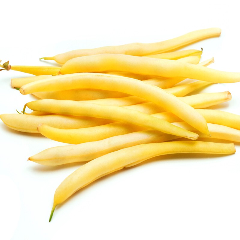 ORGANIC Bush Beans - Golden Wax Seeds