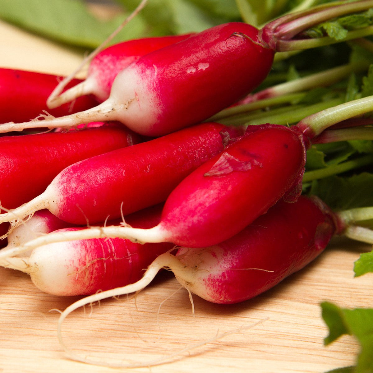 HERITAGE Radish French Breakfast Seeds