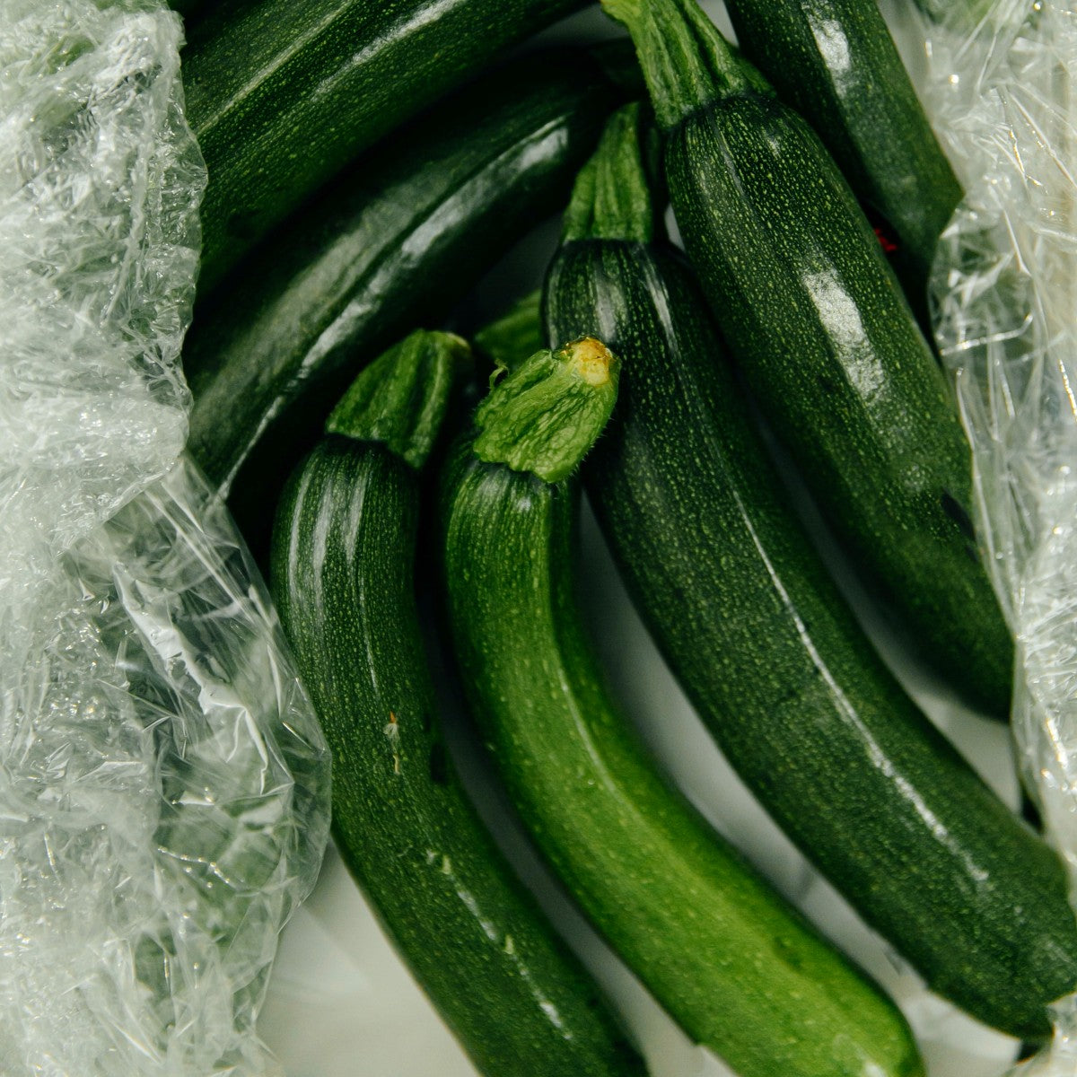 HERITAGE Squash Cocozelle Di Napoli Seeds