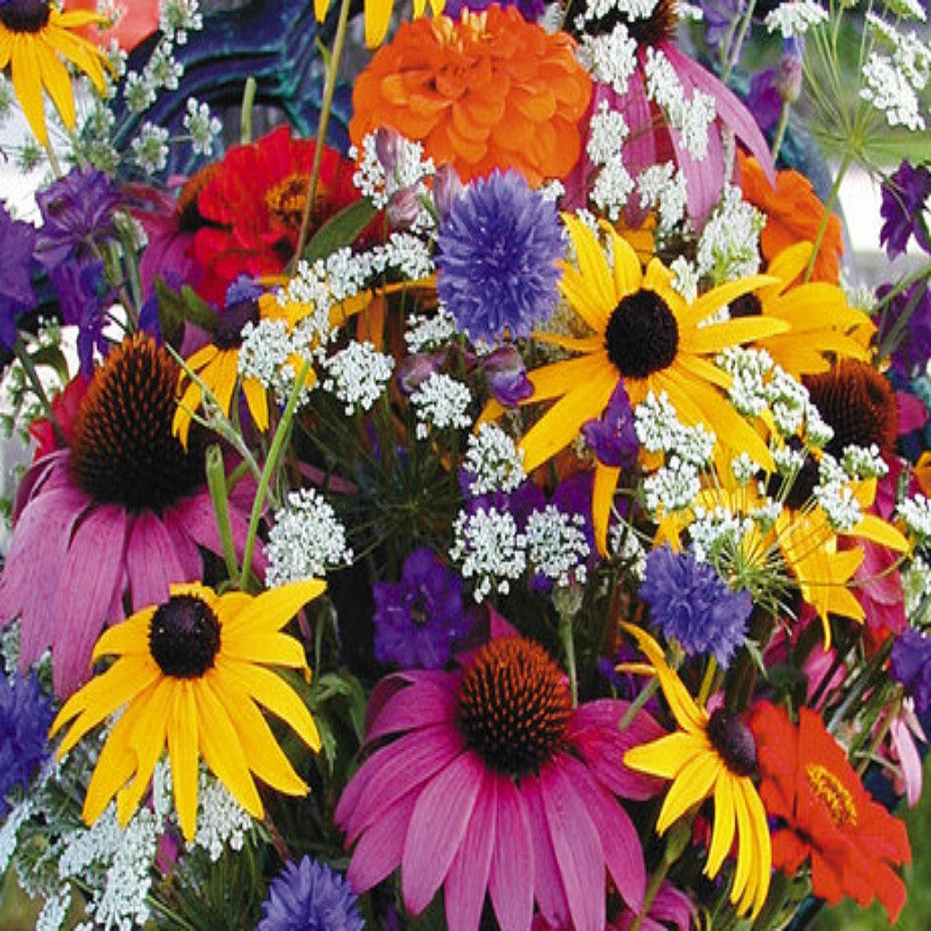 Cut Flower Fragrant Wildflower Seed Mix