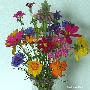 Cut Flower Fragrant Wildflower Seed Mix