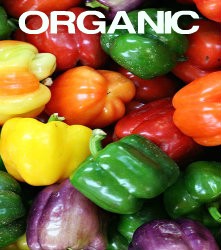 ORGANIC Pepper Sweet Baby Bell Mix Seeds