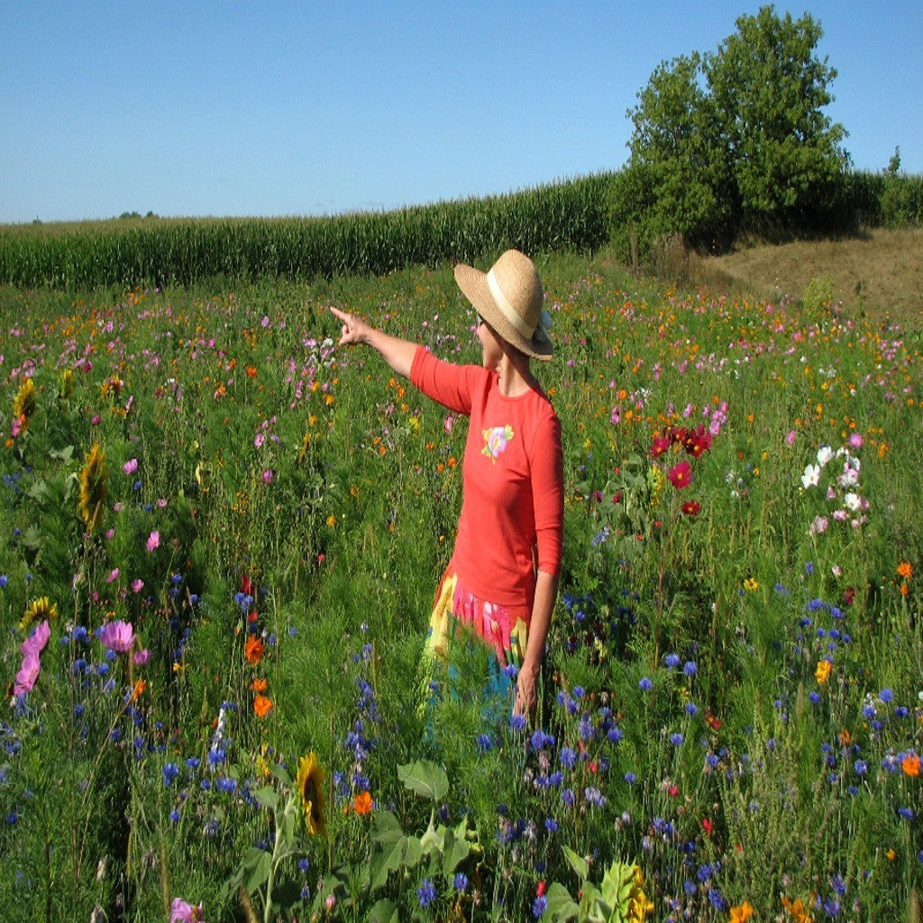 missouri native wildflower seed mix Midwest Wildflower Seed Mix