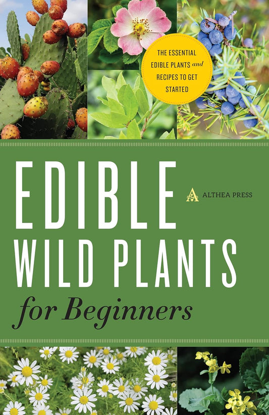 Edible Wild Plants for Beginners