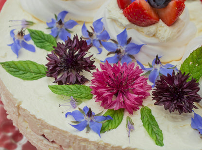 Incredible Edible Wildflower and Herb Seed Mix