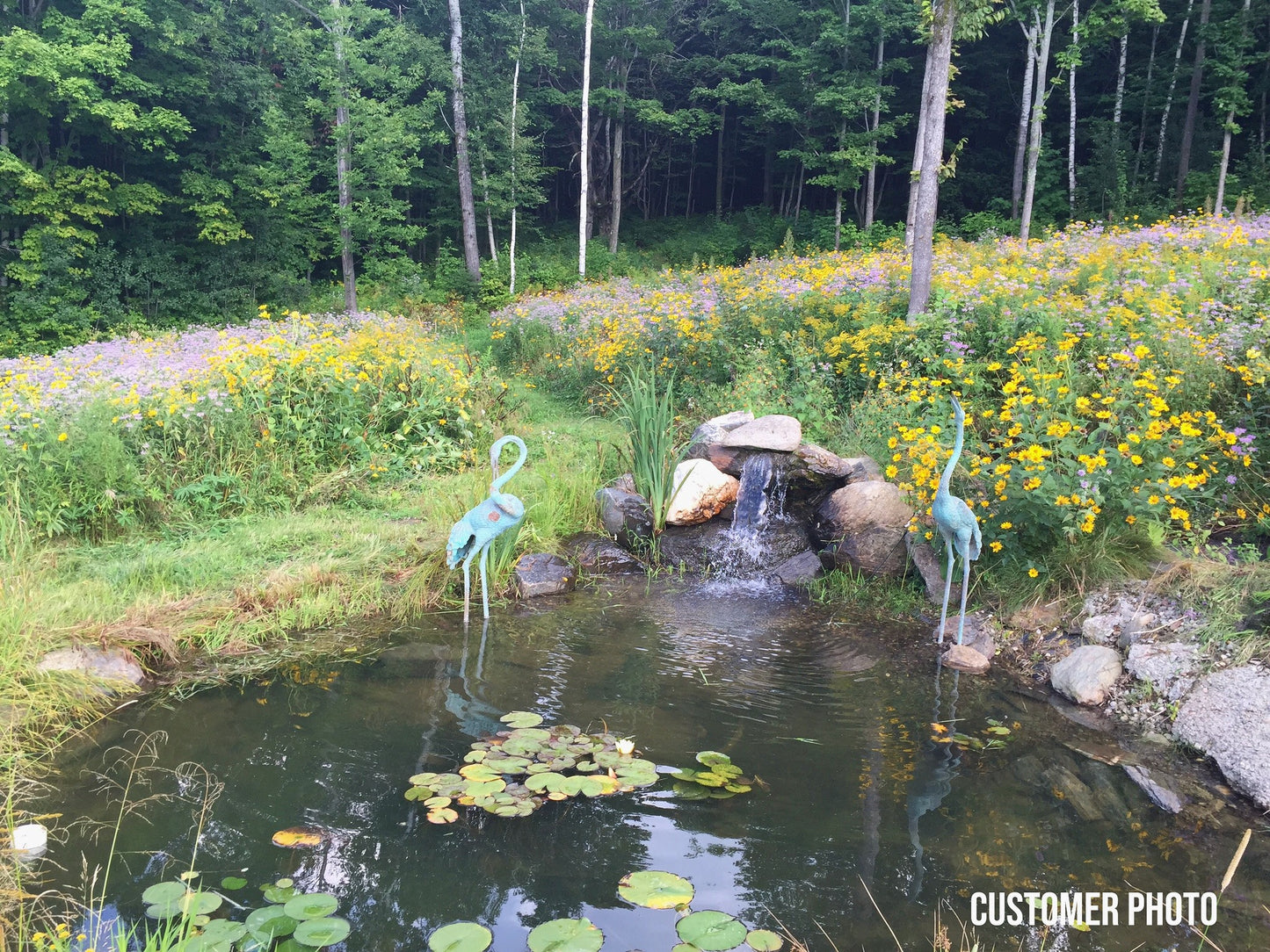 Native Pond/Water Edge Wildflower and Grass Seed Mix