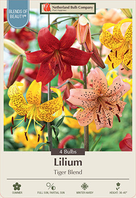 Tiger Lily Mix