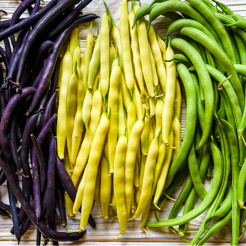 ORGANIC Bush Beans - Mardi Gras Blend