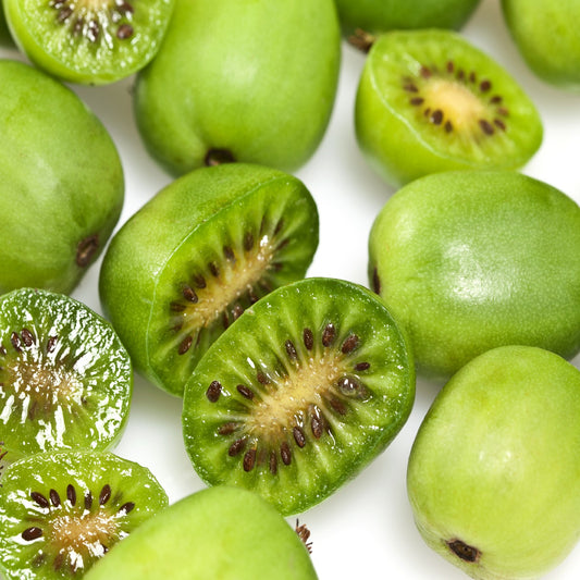 Hardy 'Kiwi'