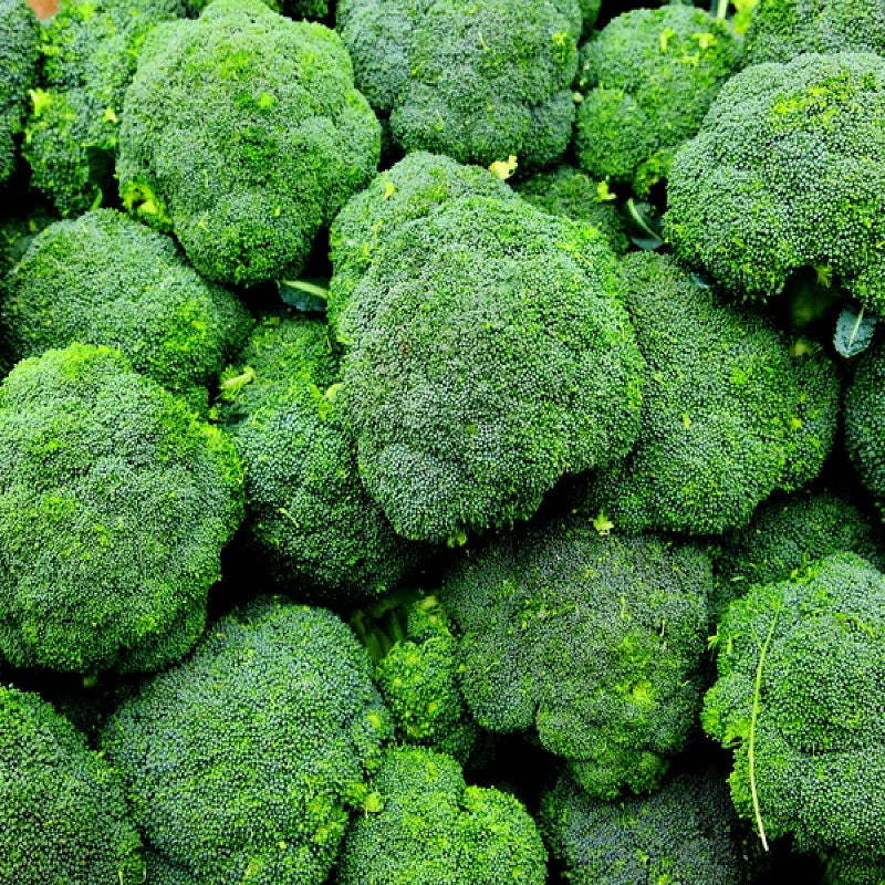 ORGANIC Broccoli Waltham 29 Seeds