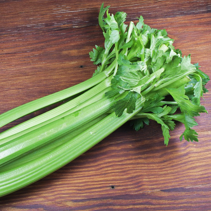 ORGANIC Celery - Tall Utah Seeds