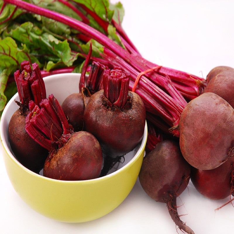 ORGANIC Beet - Crosby's Egyptian Heirloom Seeds