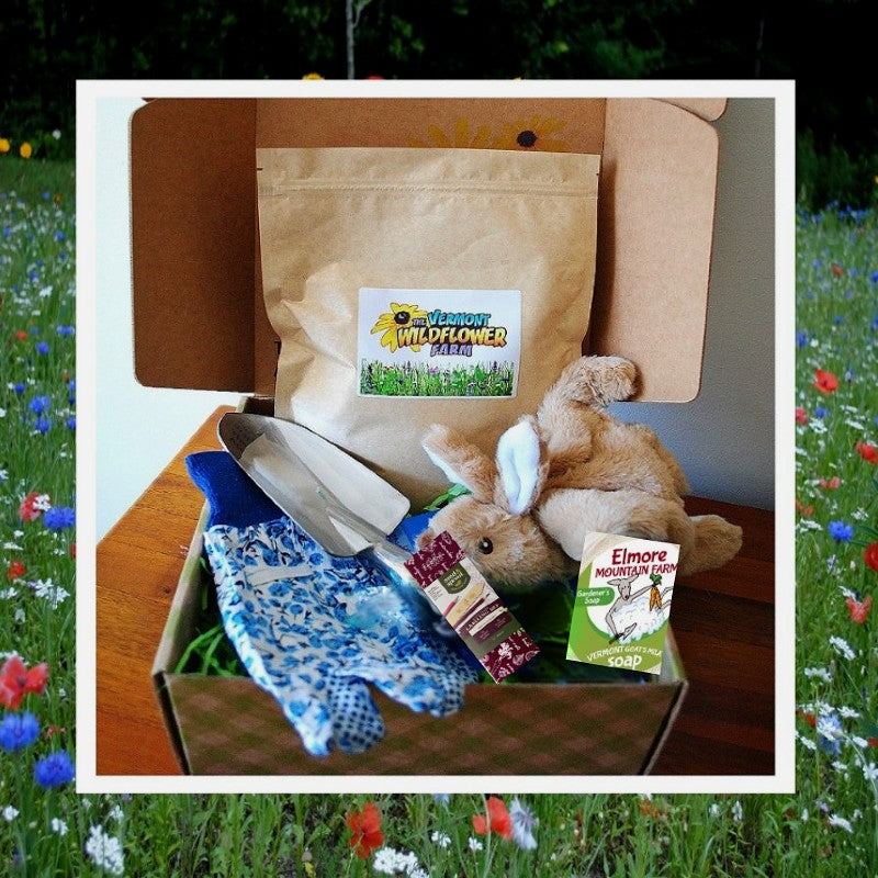 Pet Friendly Garden Box