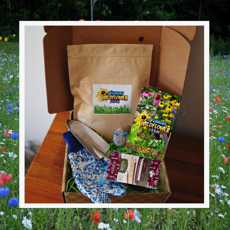 Pet Friendly Garden Box
