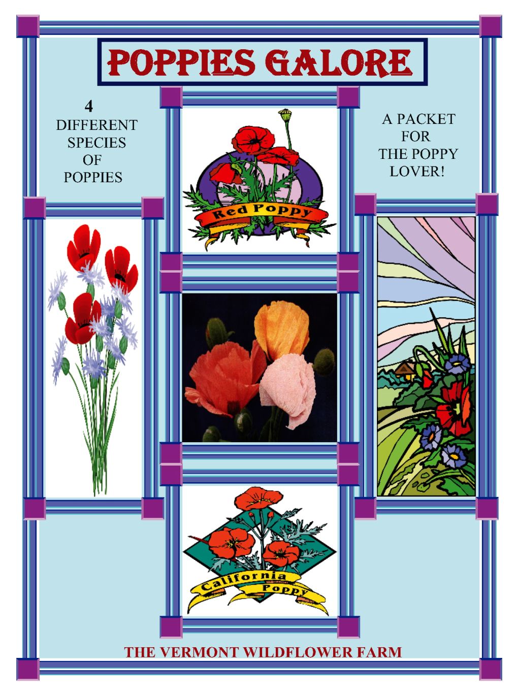 Poppies Galore Jumbo Seed Packet (BOGO)