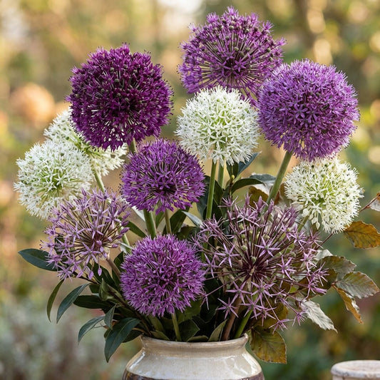 Wild About Allium