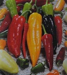 Pepper 'Hot Mix' Seeds