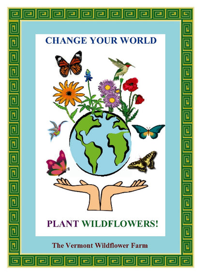 Change Your World Seed Packet (BOGO)