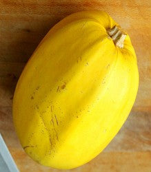 Squash - Spaghetti Seeds