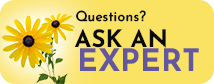 Ask an Expert